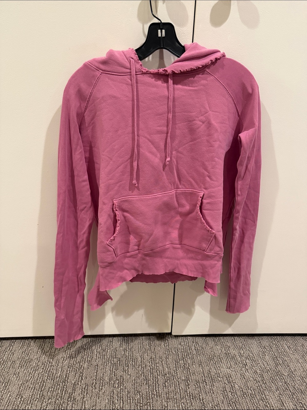 Frank & Eileen Original Tee Lab Hoodie.  Small